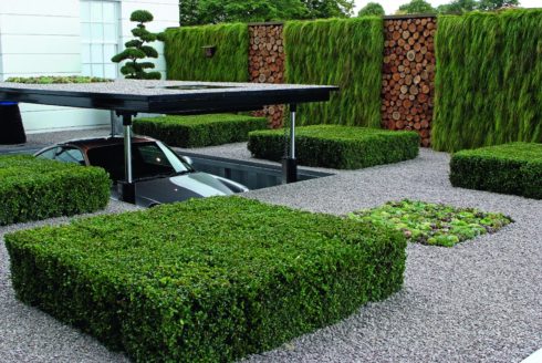 Вертикальное озеленение в ландшафтном дизайне