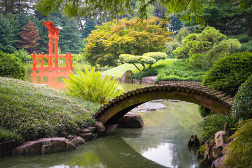 Японские сады в ландшафтном дизайне